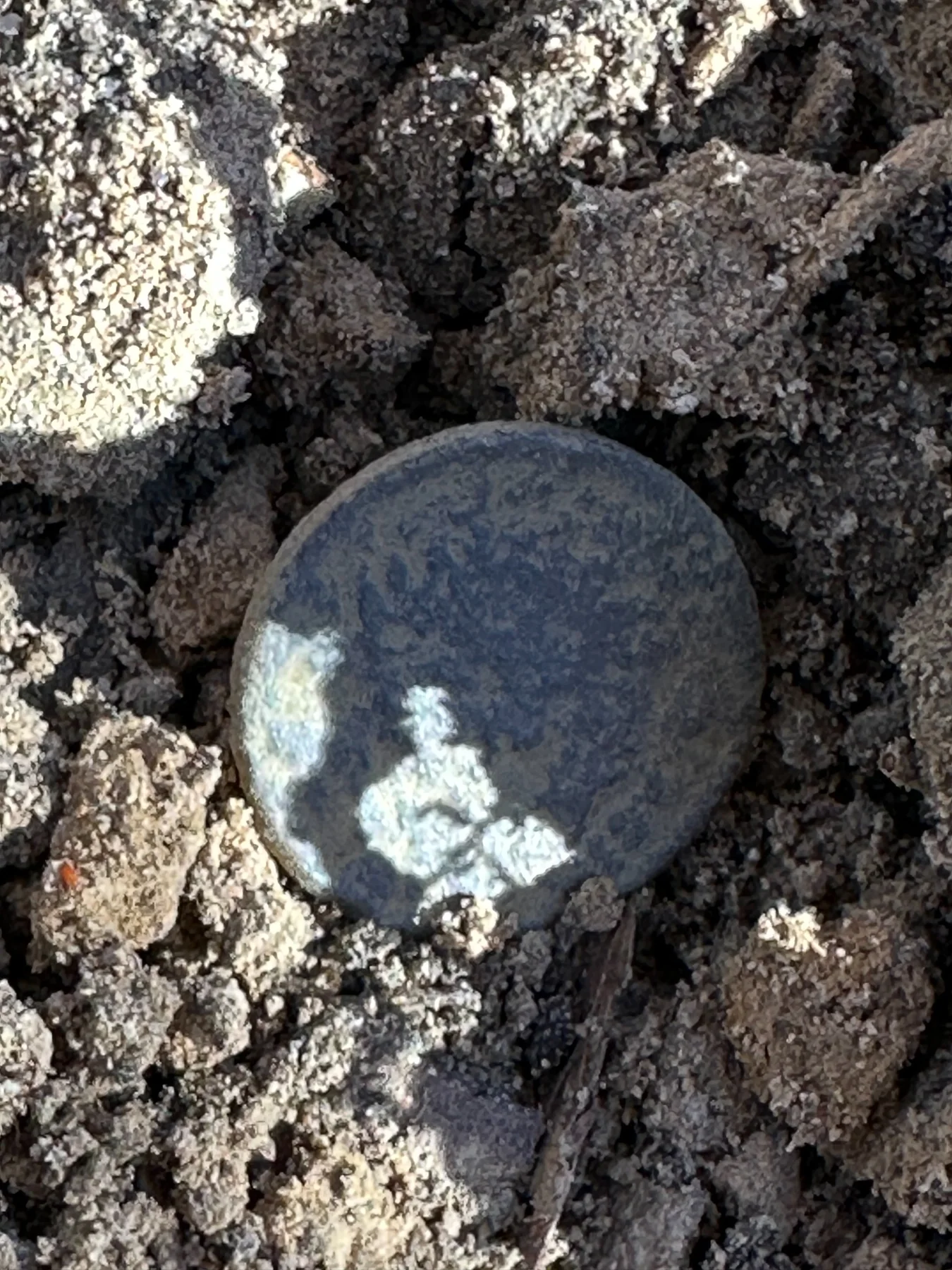 Old coin recovered during the historical field investigation