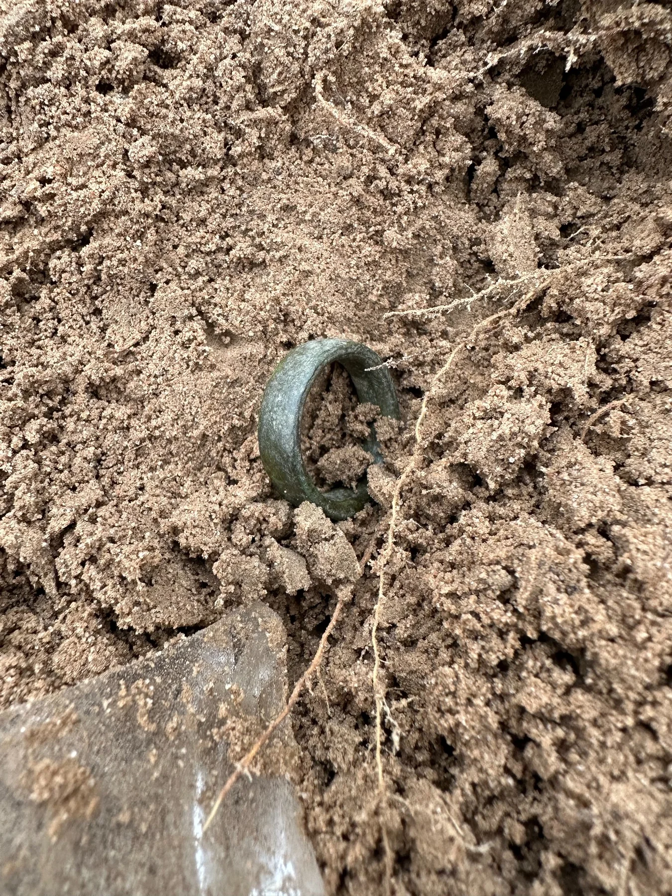 Historic ring recovered during the wagon route survey